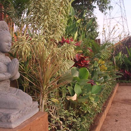 Eliska Sari Bungalows Sumberkima เปมูเตรัน ภายนอก รูปภาพ