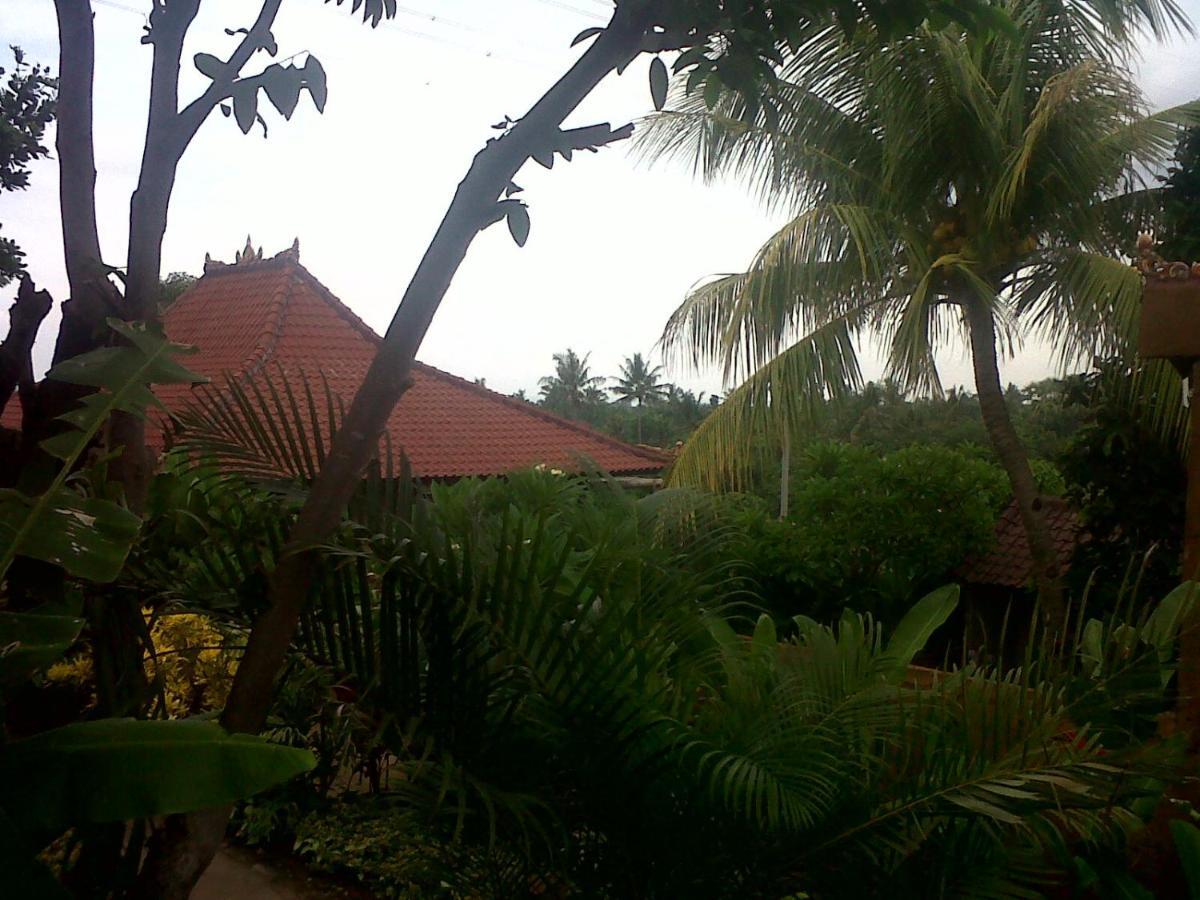 Eliska Sari Bungalows Sumberkima เปมูเตรัน ภายนอก รูปภาพ
