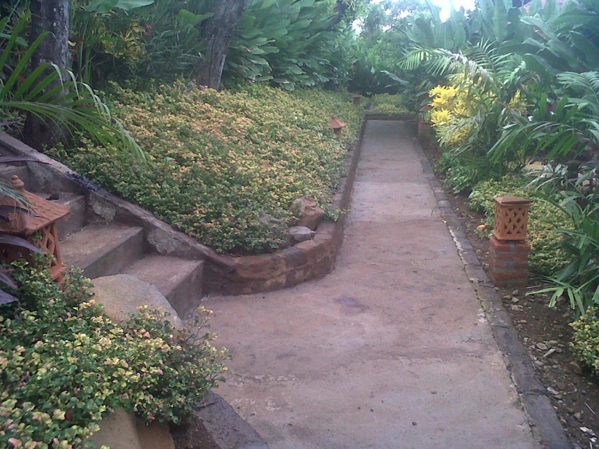 Eliska Sari Bungalows Sumberkima เปมูเตรัน ภายนอก รูปภาพ
