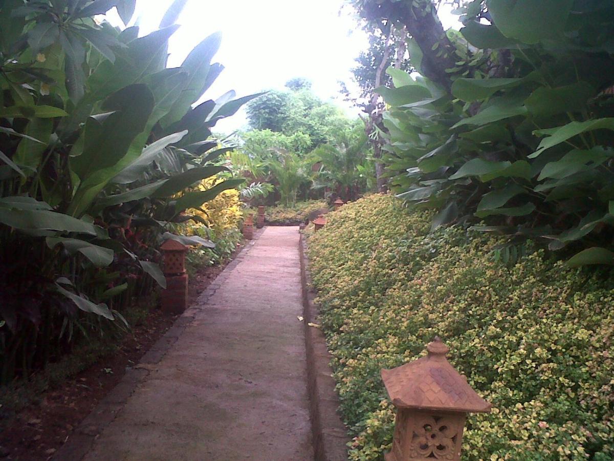 Eliska Sari Bungalows Sumberkima เปมูเตรัน ภายนอก รูปภาพ