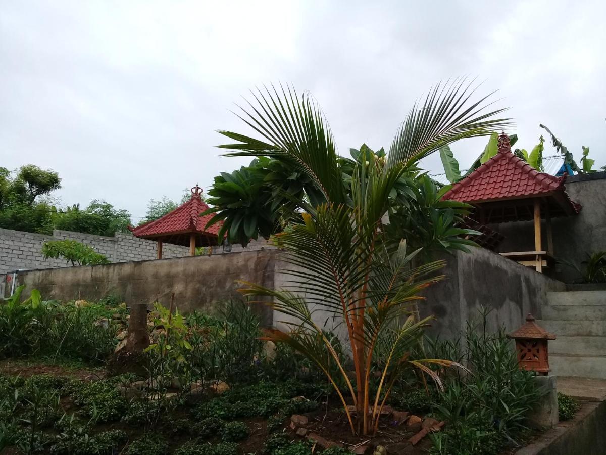 Eliska Sari Bungalows Sumberkima เปมูเตรัน ภายนอก รูปภาพ