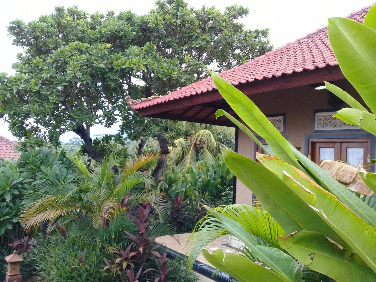 Eliska Sari Bungalows Sumberkima เปมูเตรัน ภายนอก รูปภาพ