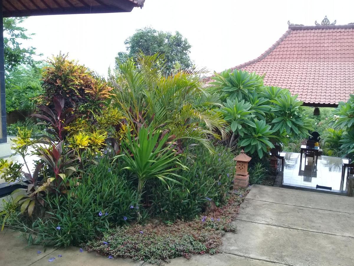 Eliska Sari Bungalows Sumberkima เปมูเตรัน ภายนอก รูปภาพ
