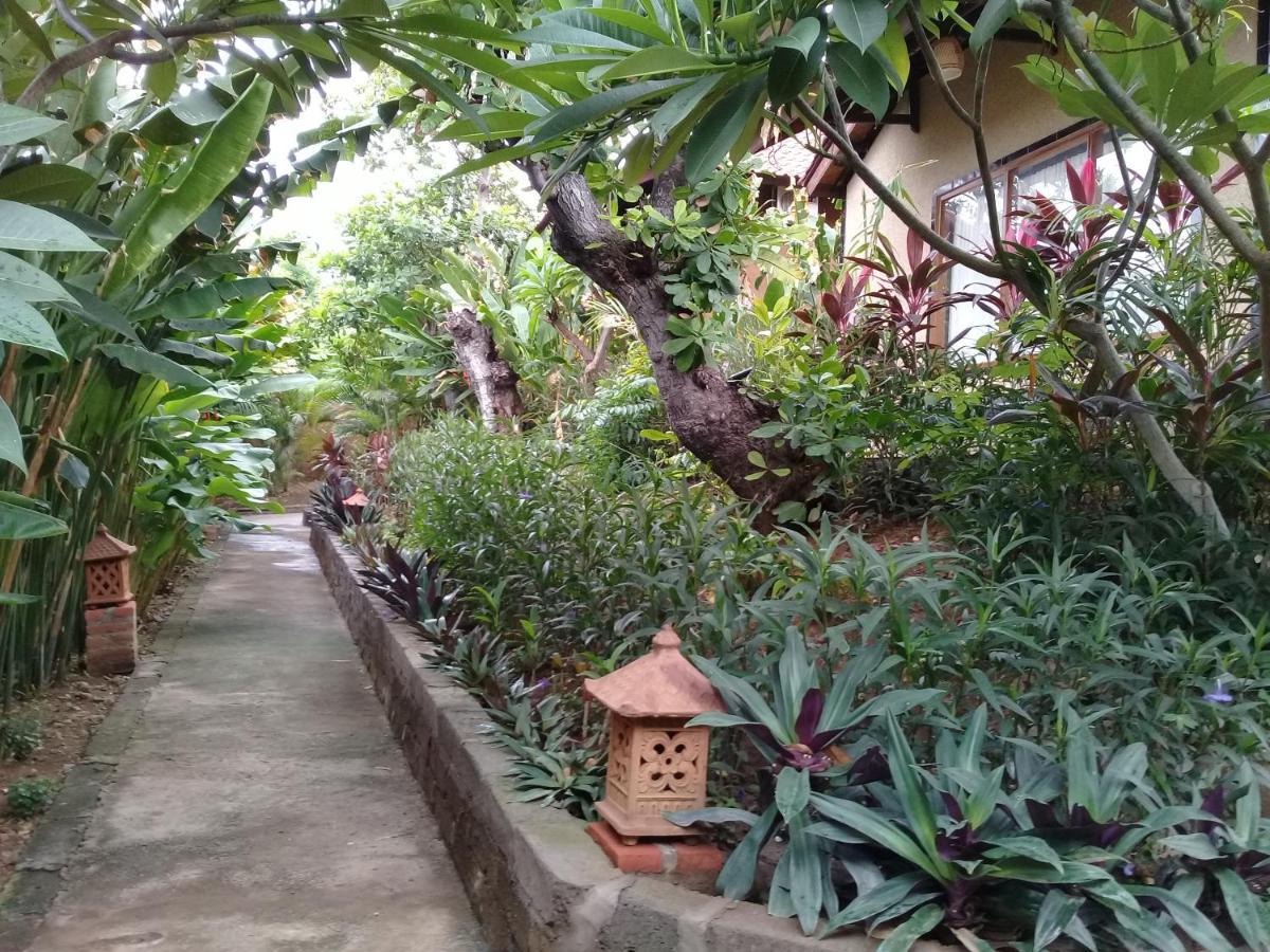Eliska Sari Bungalows Sumberkima เปมูเตรัน ภายนอก รูปภาพ