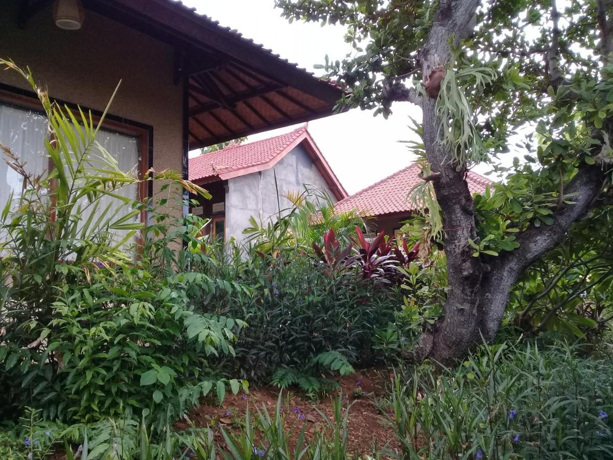 Eliska Sari Bungalows Sumberkima เปมูเตรัน ภายนอก รูปภาพ