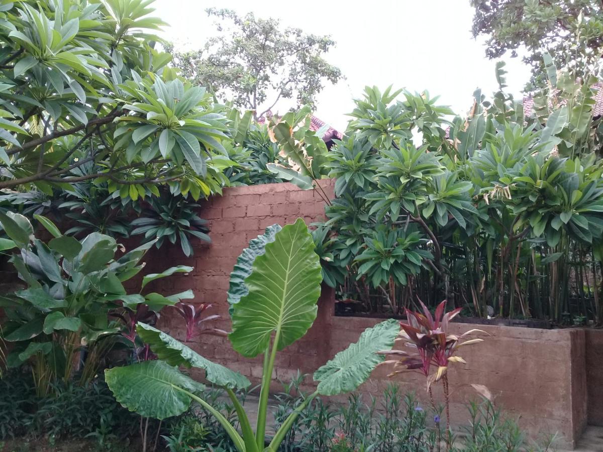 Eliska Sari Bungalows Sumberkima เปมูเตรัน ภายนอก รูปภาพ