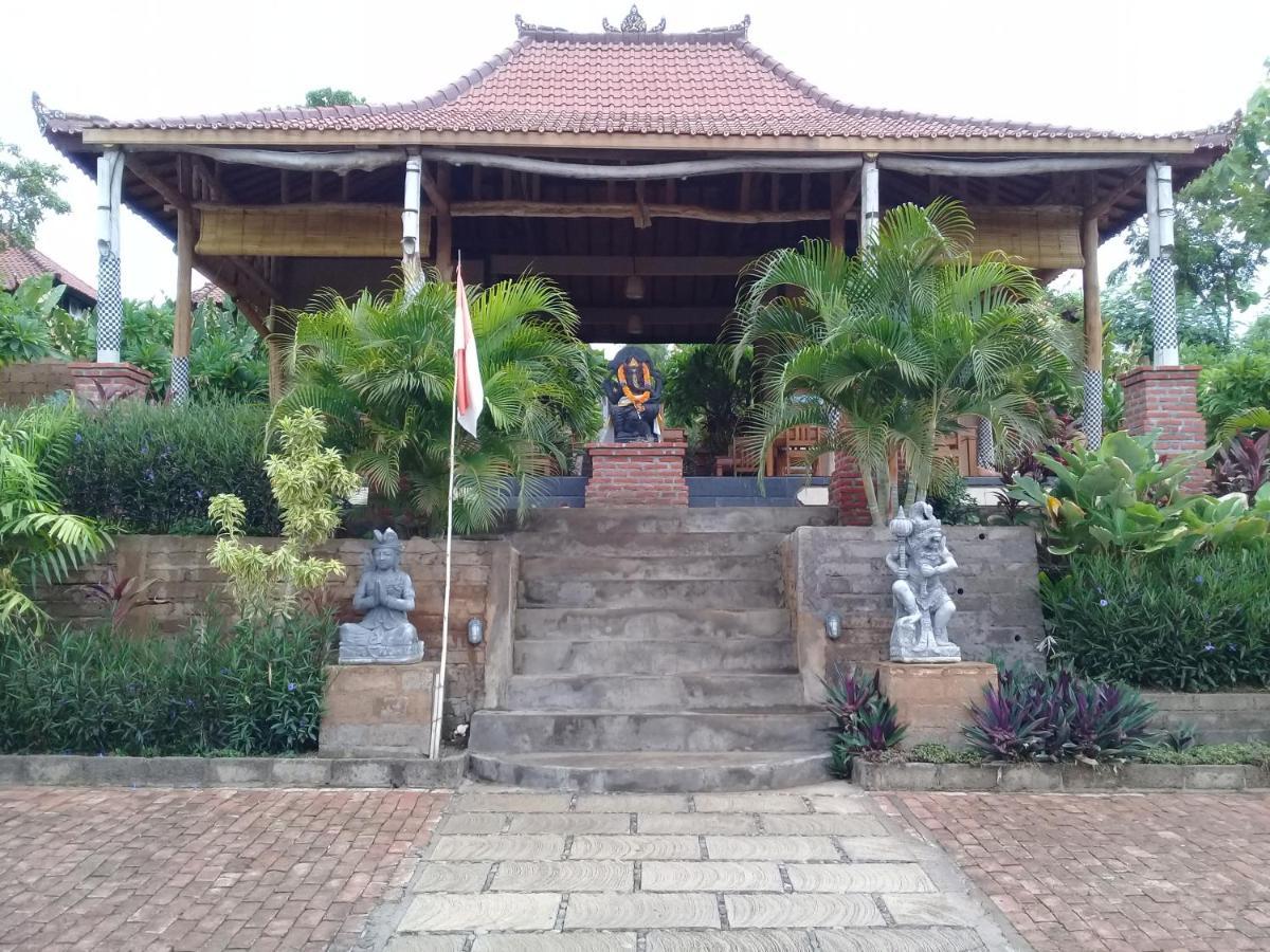 Eliska Sari Bungalows Sumberkima เปมูเตรัน ภายนอก รูปภาพ